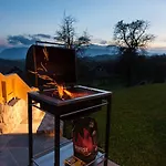 Planina
